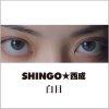 SHINGO -  [CD] ¥쥳 (2019)ŵդ