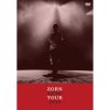ZORN - LOVE TOUR [DVD] ¥쥳 (2019)̾סۡڼ󤻡