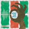 TOSHIKI HAYASHI(%C) - What the Hell (feat.Ȥ) [7