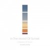 DJ FUJI - In The Mood Of Sunset -A Moment Of Peace- [MIX CD] Novel Attraction Rec (2020) 