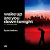 ޸ - Wake Up / Are You Down Tonight [7