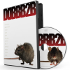 DOBB DEEP - DOBBB2B [DVD] DOBB DEEP (2021) 