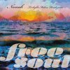 Nomak - Free Soul Nomak ~ Twilight Mellow Rendezvous [CD] huge soul (2021)ڸۡŵդ