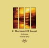 DJ FUJI - In The Mood Of Sunset -Autumn-  [MIX CD] Novel Attraction Records (2022) 
