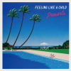 Presents - Feeling Like A Child [CD] SOYOGO RECORD (2022) 