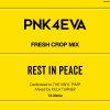 KILLA TURNER / B.D. - PNK4EVA [MIX CD] PIMP N KILLA (2022)ڸס