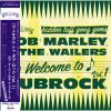BOB MARLEY & THE WAILERS - Welcome to Dubrock [LP] P-VINE (2023)ڸס