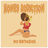 DJ SATOSHI - HONEY ADDICTION [MIX CD] ONDOMUSIC (2013)