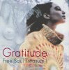 V.A. - Gratitude  SUBURBIA meets ULTRA-VYBE Free Soul Treasure 1 [LP] OCTAVE-LAB (2023) ڼ󤻡
