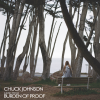 Chuck Johnson - Music From Burden Of Proof [LP] All Saints (2023)ڸץСʥ