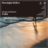 Calm - Moonlight Mellow [MIX CD] introducing! productions (2023)ڸס