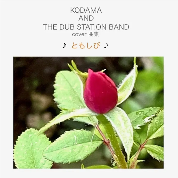 WENOD RECORDS : KODAMA AND THE DUB STATION BAND - COVER曲集♪ともしび♪ [CD]  KURASHI LABEL (2023)