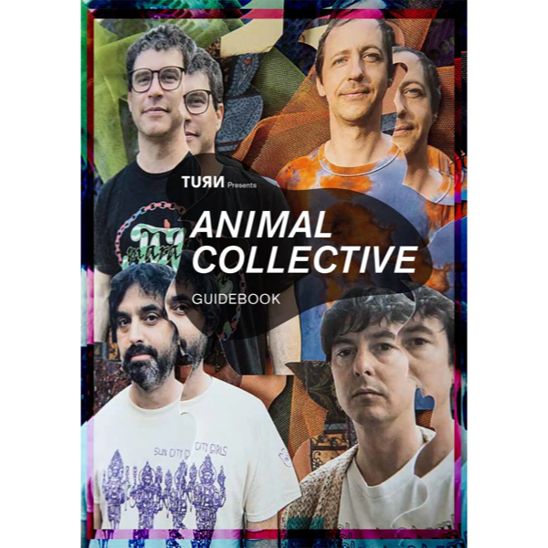 WENOD RECORDS : Animal Collective - Isn’t It Now? [LP] Domino  (2023)【限定生産盤オレンジ・ヴァイナル】【特典冊子付属】