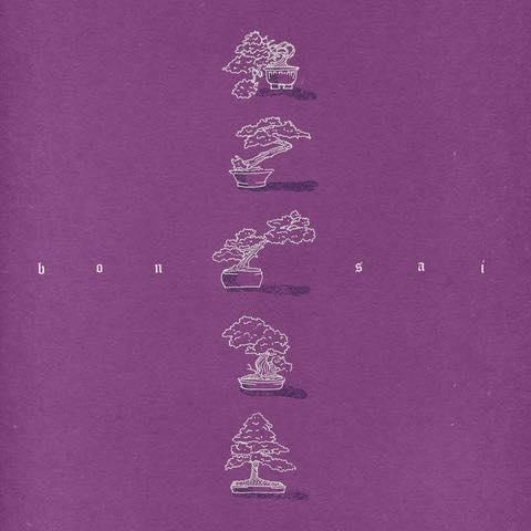 WENOD RECORDS : Boogie Mason - Bonsai [LP] No Sabes (2023