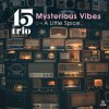 45trio - Mysterious Vibes c/w A Little Spice [7