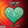 Citrus Sun - What's Going On [7