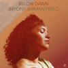 Bryony Jarman-Pinto - Below Dawn [2LP+DLC] Tru Thoughts (2024)ڸס517ȯ