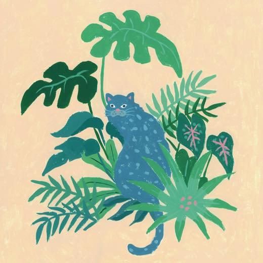 [未使用品 アナログレコードLP盤]　MuchaMuchaM　Qantikala WENOD RECORDS : MuchaMuchaM - Qantikala [LP] Special 10