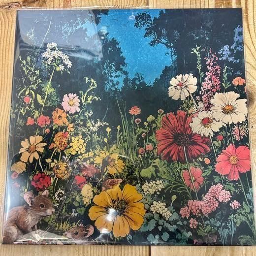 Mickey Diamond & Pro Dillinger レコード レコちゃんカンパニー酒々井店 on X