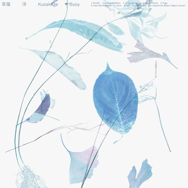 WENOD RECORDS : 浮 (ぶい) - 草蔭 [LP] Traffic/disk sibasi