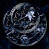 CHAOS - ARCHIVE ARCHEMIST [CD] INSECTOR LABO (2007)