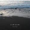 CHIMP BEAMS - SLOWLY [CD] RUDIMENTS (2011)