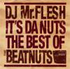 DJ MR.FLESH - IT'S DA NUTS 
