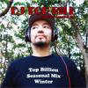 DJ TOP BILL - TOP BILLION SEASONAL MIX WINTER [MIX CD] METROEAR RECORDS (2010)