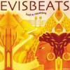 EVISBEATS - JUST A MOMENT [MIX CD] AMIDA RECORDS (2007)