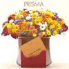 PRISMA - S/T [CD] LIBYUS MUSIC (2009)ŵդ