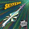 SKYFISH - RAW PRICE MUSIC [CD] POPGROUP (2009)ڼ󤻡