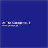 SONZ OF ORGAZM - AT THE GARAGE VOL.1 [CD] SONZ OF ORGAZM (2011)
