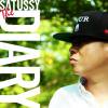 SATUSSY - THE DIARY [CD] FILE RECORDS (2012)ڼ󤻡