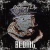 BCDMG - ORDINARY LIFE [CD] VYBE MUSIC (2013)ڼ󤻡