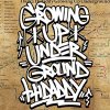 HIDADDY - Growing Up Underground [CD] GROW UP UNDERGROUND RECORDS (2013)