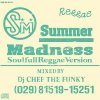 DJ CHEF THE FUNKY - SUMMER MADNESS 