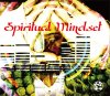  - Spiritual Mindset  [MIX CDR] 9 (2014) 