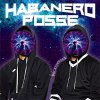 HABANERO POSSE - Wickedpedia [CD] SPACE SHOWER MUSIC (2014) 