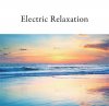  V.A. - Electric Relaxation [CD] introducing! productions (2015) 