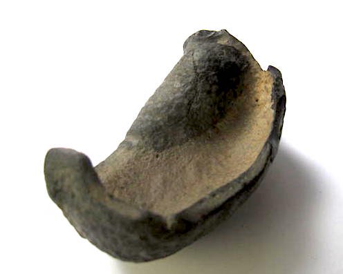 古代のクジラの耳骨（化石）　SOLD OUT - オルタード・ディメンションの楽しいショップ