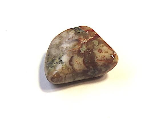 恐竜の糞（ふん）の化石 コプロライト(10) - オルタード