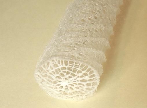 1点物】極希少☆極美品カイロウドウケツ 縁起物 深海生物 25-