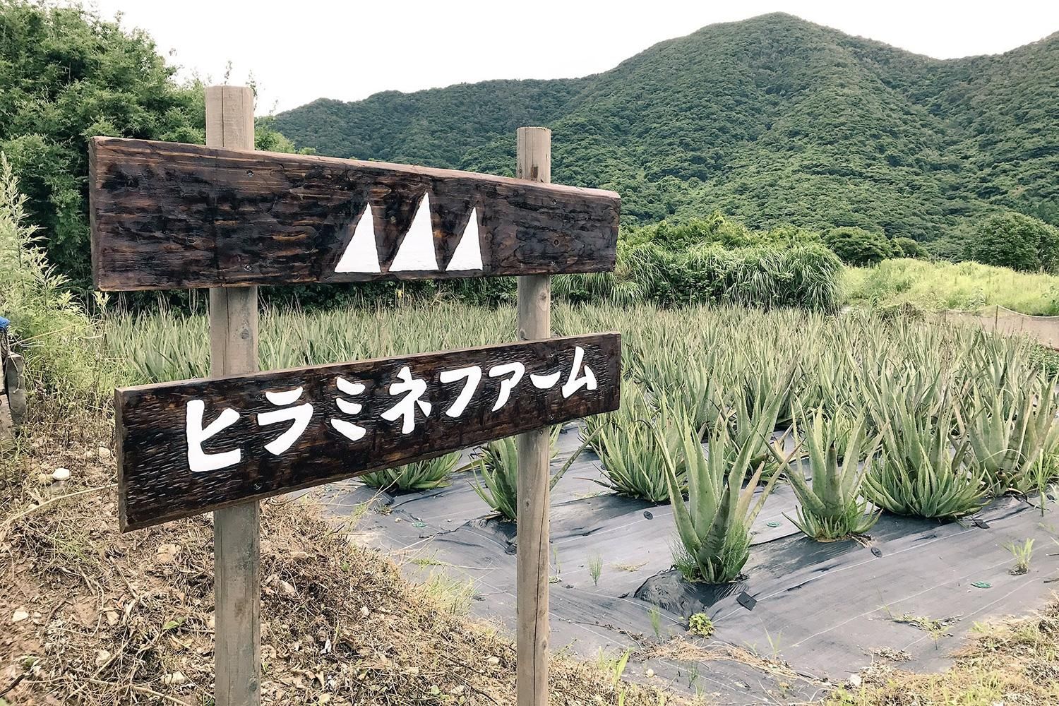 木立甘酢 300ml - 甑島のおいしい通販｜山下商店