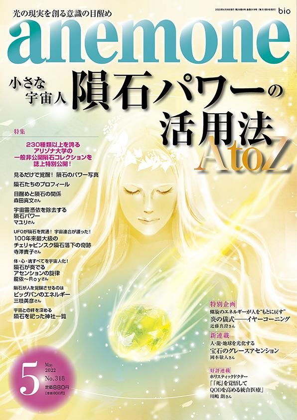 コンドライト隕石（サハラNWA隕石）12mmブレスレット - KC