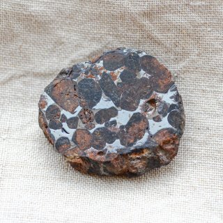 パラサイト・セリコ隕石  原石 51g