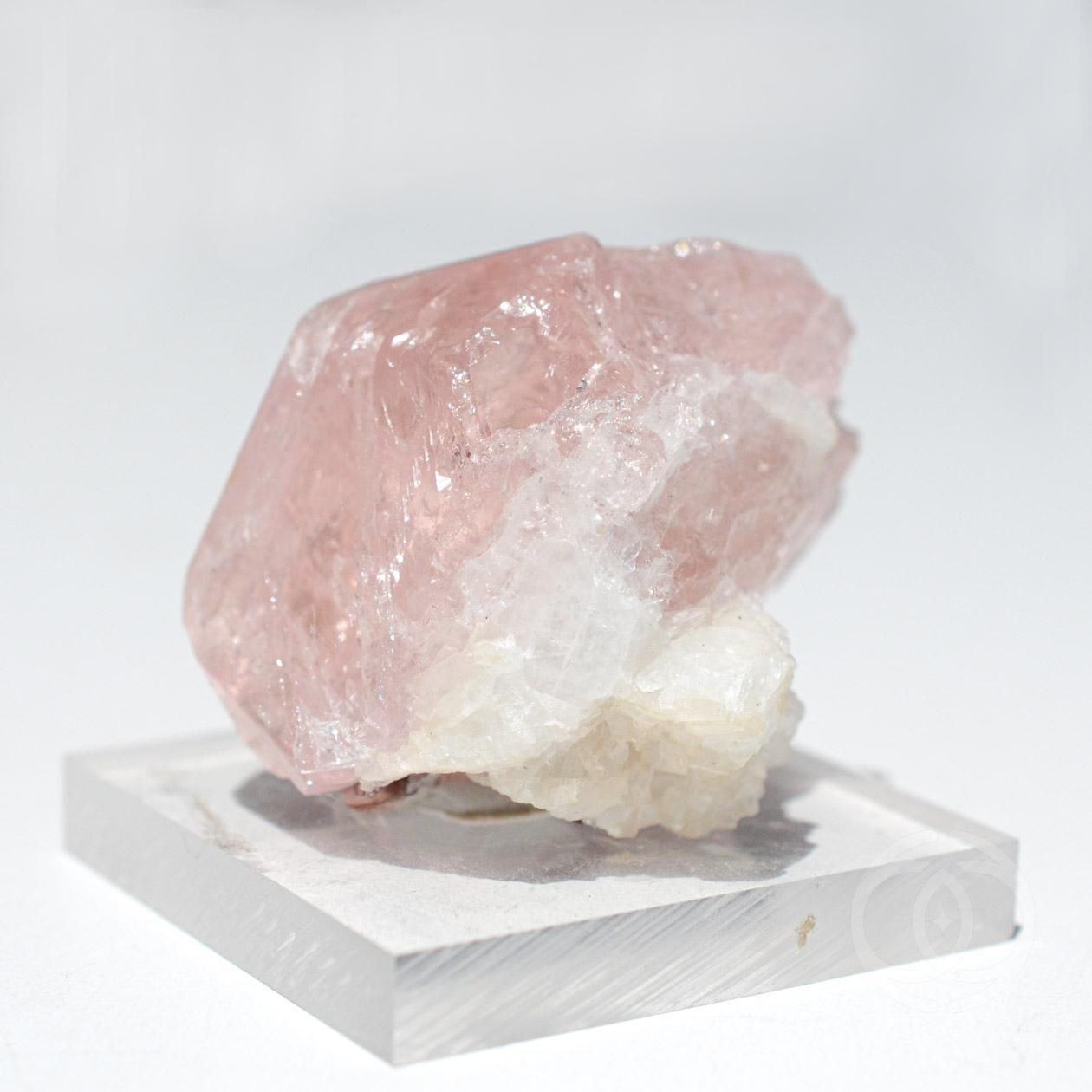 31日最終CrystalTones8インチモルガナイトパラジウムＤ+10 31日最終CrystalTones8インチモルガナイトパラジウムD+10 31日最終