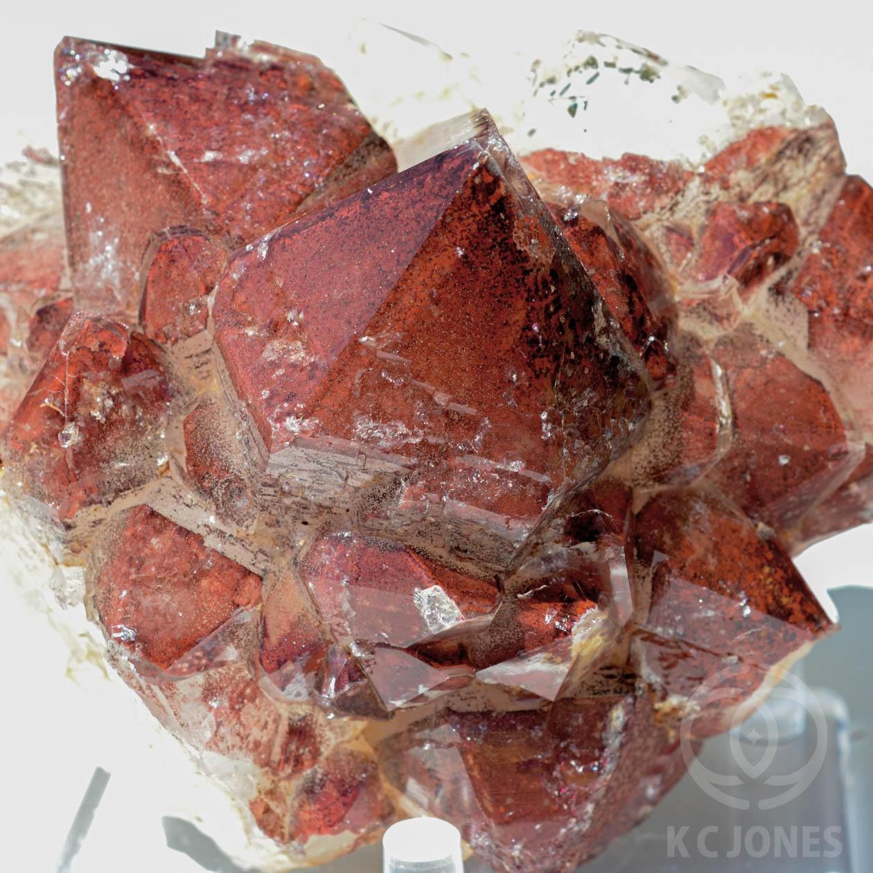 レッドクォーツ 原石 - KCジョーンズ・クリスタルショップ