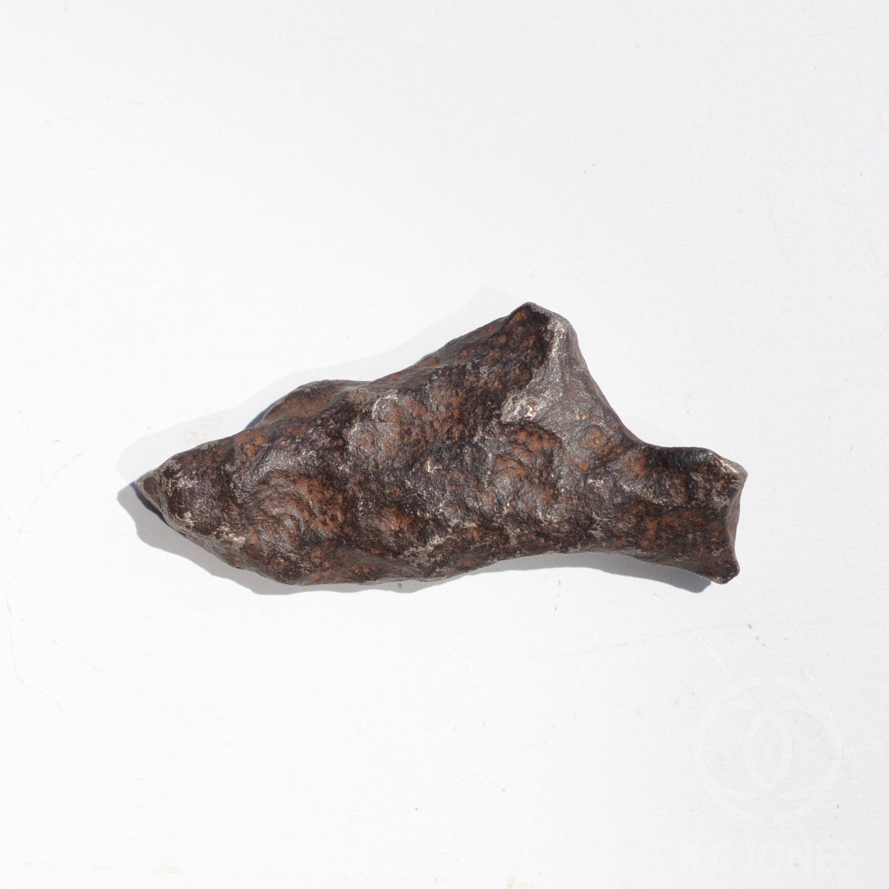 マンドラビラ鉄隕石 - KCジョーンズ・クリスタルショップ