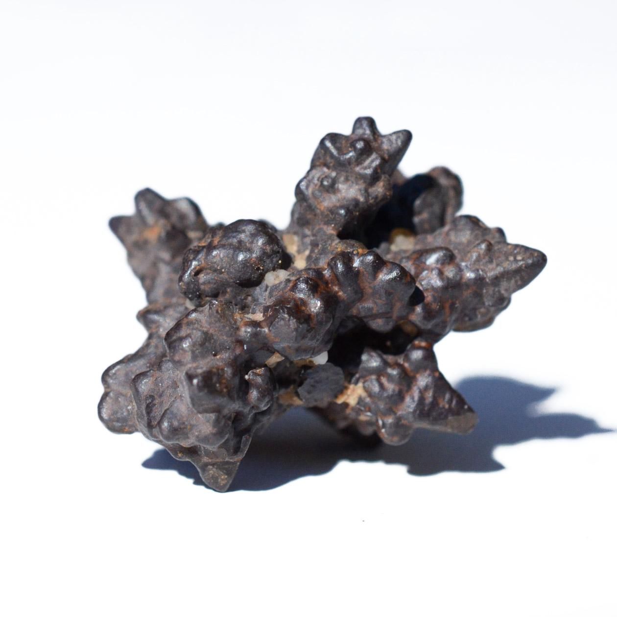 【エジプトの星】天然ライモナイト（褐鉄鉱）アフターマーカサイト【ゼットストーン】 エジプトの星】天然ライモナイト（褐鉄鉱）アフターマーカサイト