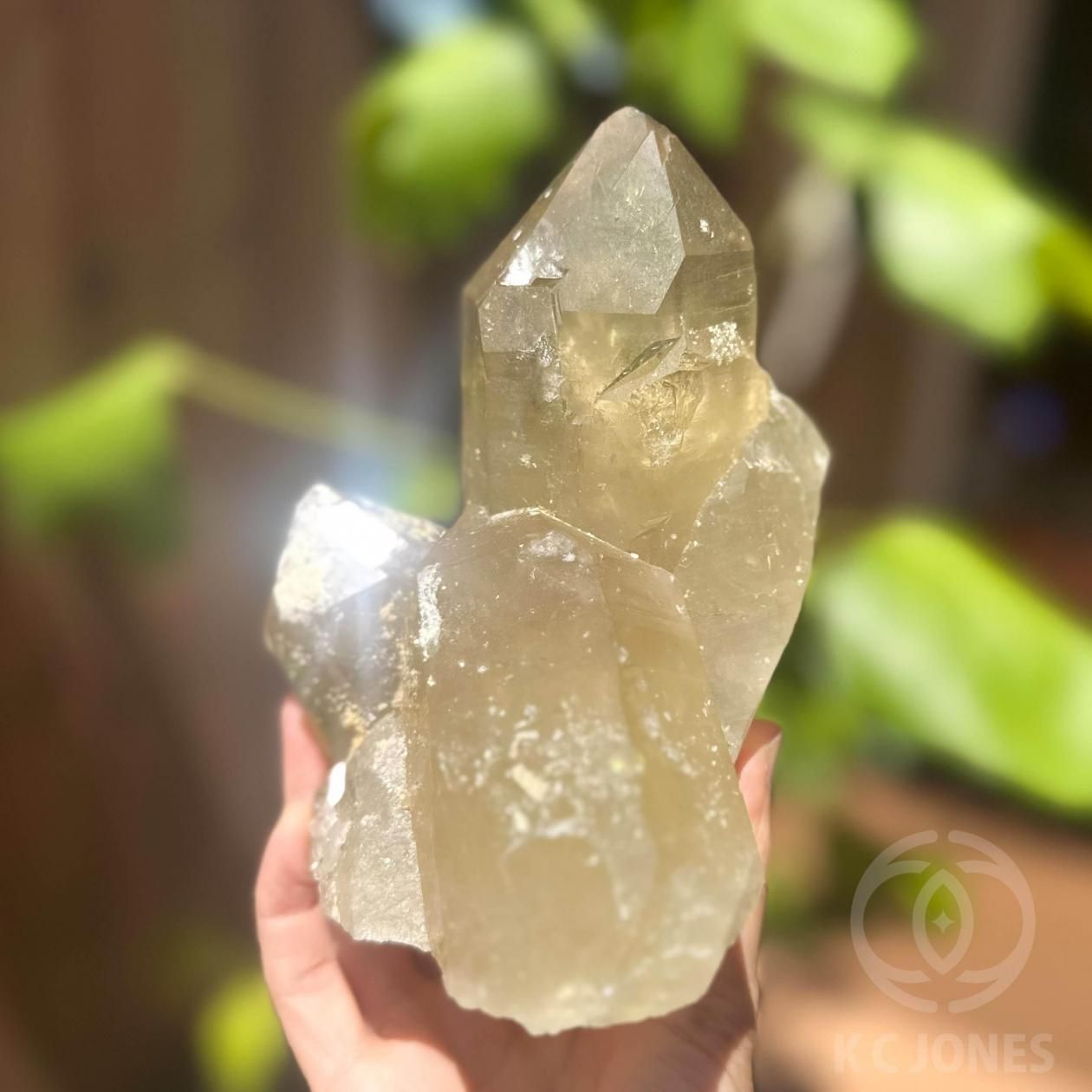 ナチュラルカラーのシトリン原石 - KCジョーンズ・クリスタル